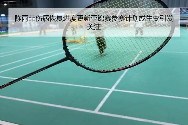 陈雨菲伤病恢复进度更新亚锦赛参赛计划或生变引发关注